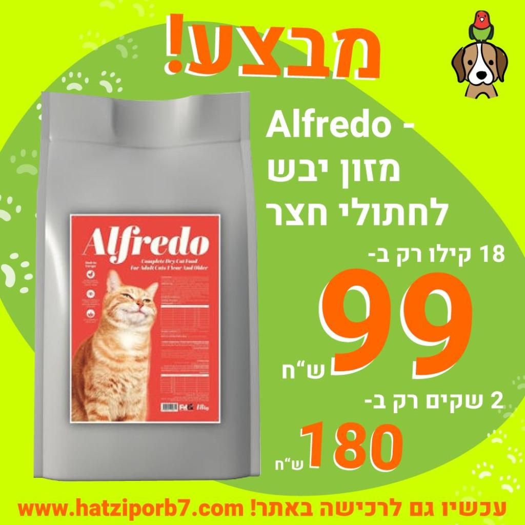 הציפור והכלב מבית אבי ציפורים הציפור והכלב מבית אבי ציפורים