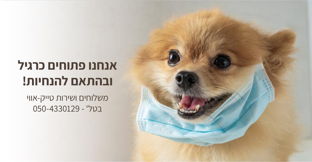 הציפור והכלב מבית אבי ציפורים הציפור והכלב מבית אבי ציפורים