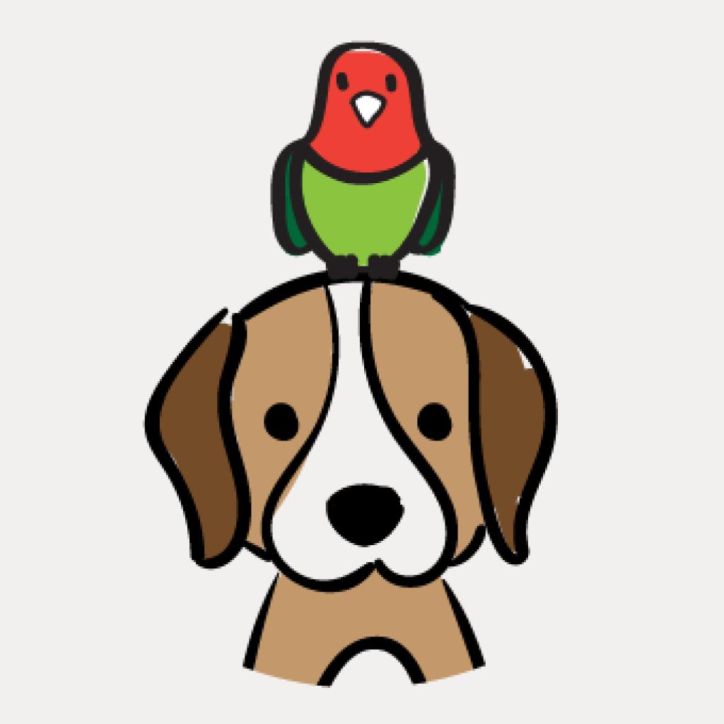 הציפור והכלב מבית אבי ציפורים הציפור והכלב מבית אבי ציפורים