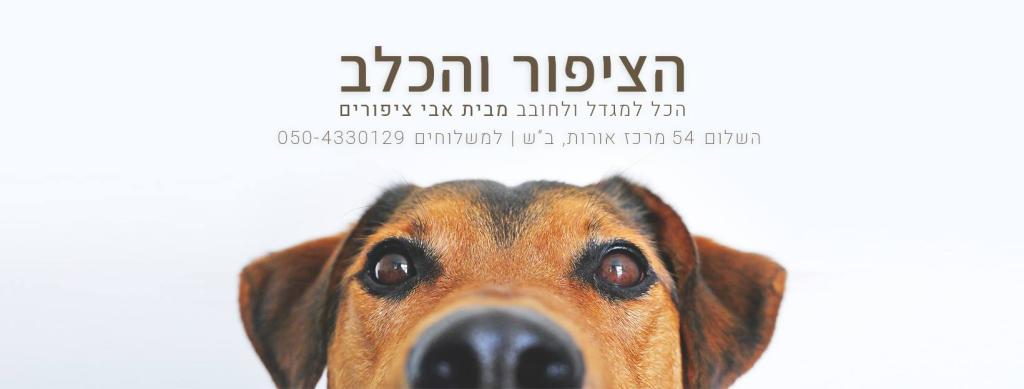 הציפור והכלב מבית אבי ציפורים הציפור והכלב מבית אבי ציפורים