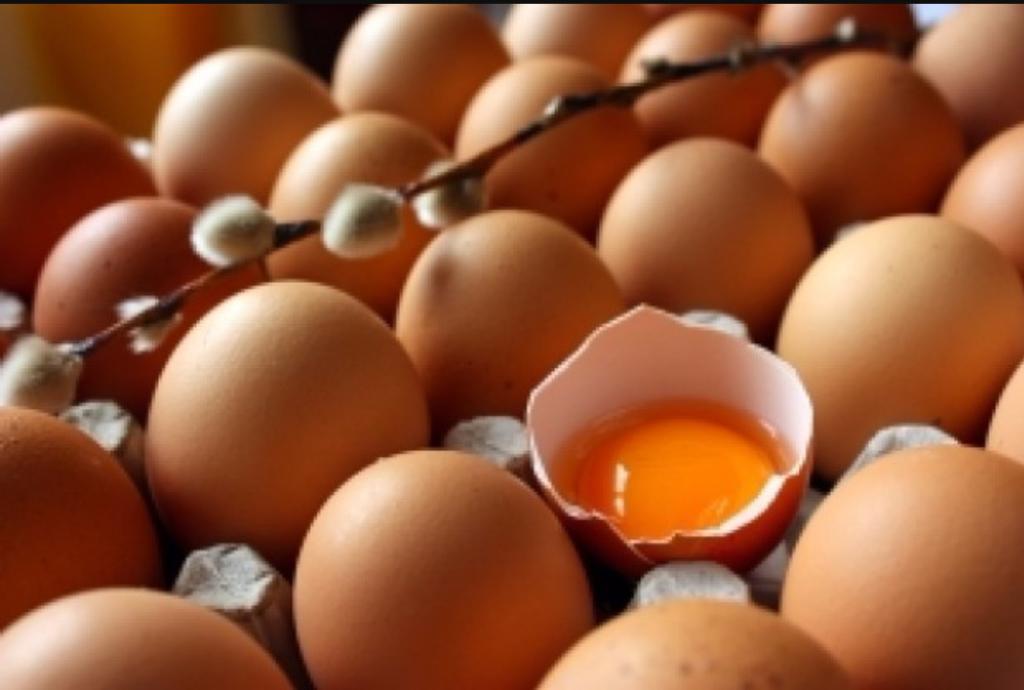 מעדני דוד המלך מעדני דוד המלך