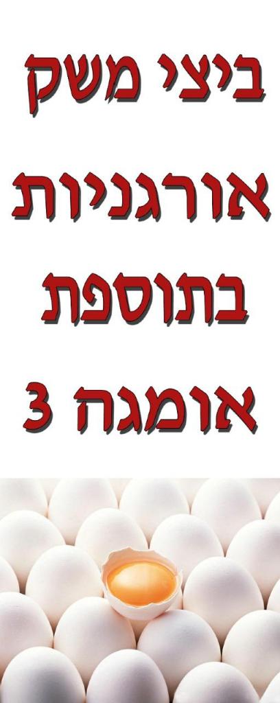 מעדני דוד המלך מעדני דוד המלך