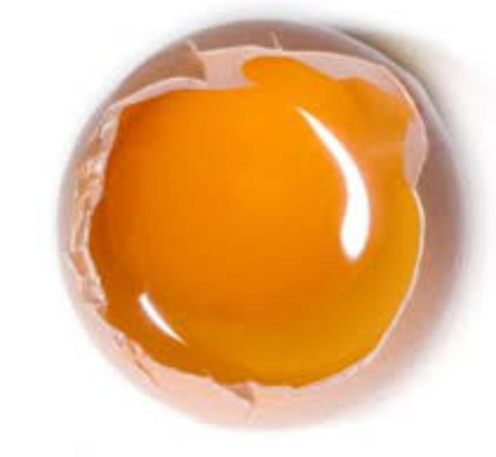 מעדני דוד המלך מעדני דוד המלך