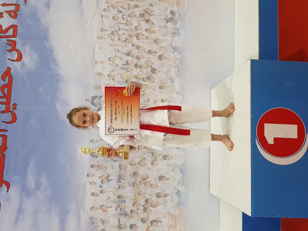 מכון אביטן לאומנויות לחימה מכון אביטן לאומנויות לחימה