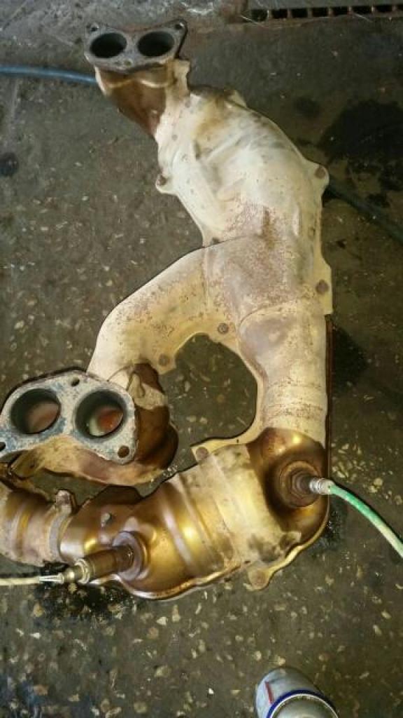 עשהאל אגזוזים עשהאל אגזוזים