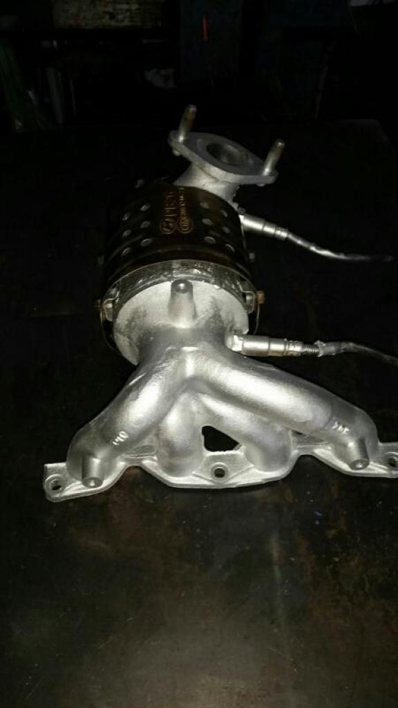 עשהאל אגזוזים עשהאל אגזוזים