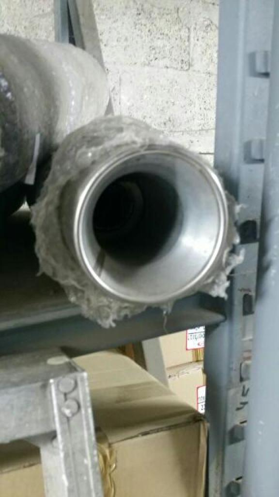 עשהאל אגזוזים עשהאל אגזוזים