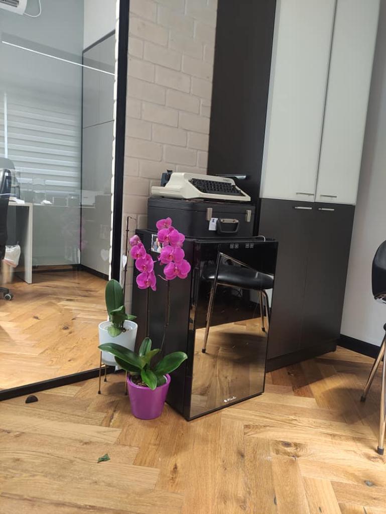 עו"ד יודיטה דוידוביץ עו"ד יודיטה דוידוביץ