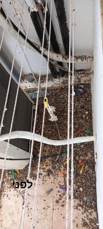 טבע של נקיון טבע של נקיון