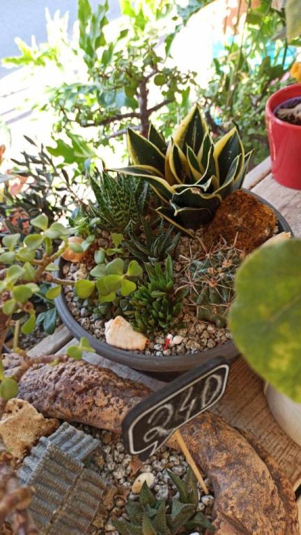 אחוזת הפרחים אחוזת הפרחים