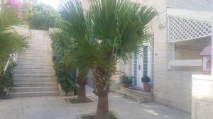 שירה יונה טיפולים אלטרנטיבים