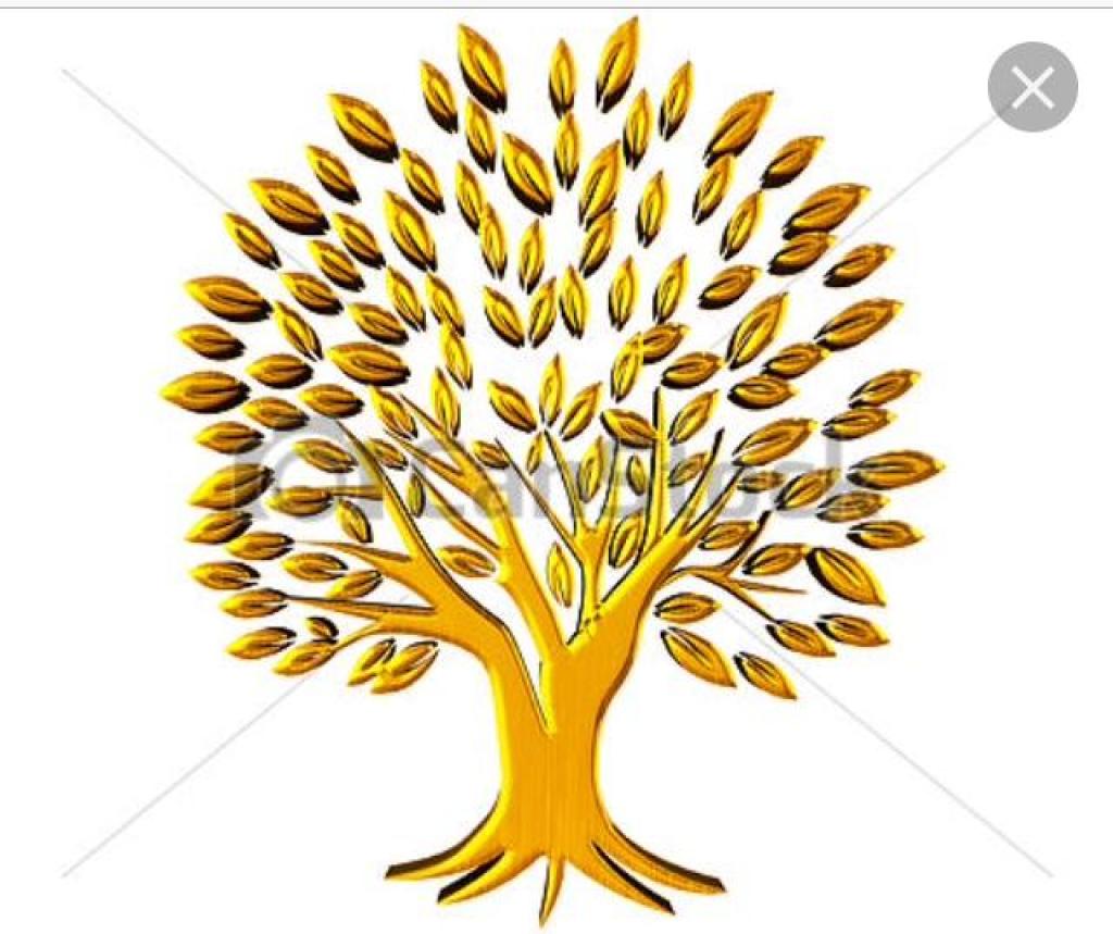 לארה תרפי מסאג' לארה תרפי מסאג'