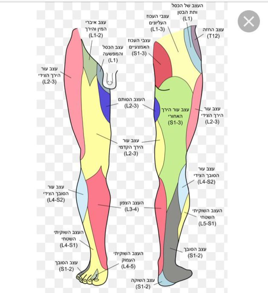 לארה תרפי מסאג' לארה תרפי מסאג'