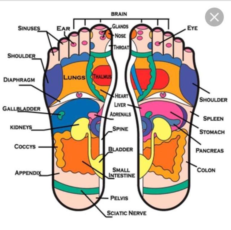 לארה תרפי מסאג' לארה תרפי מסאג'