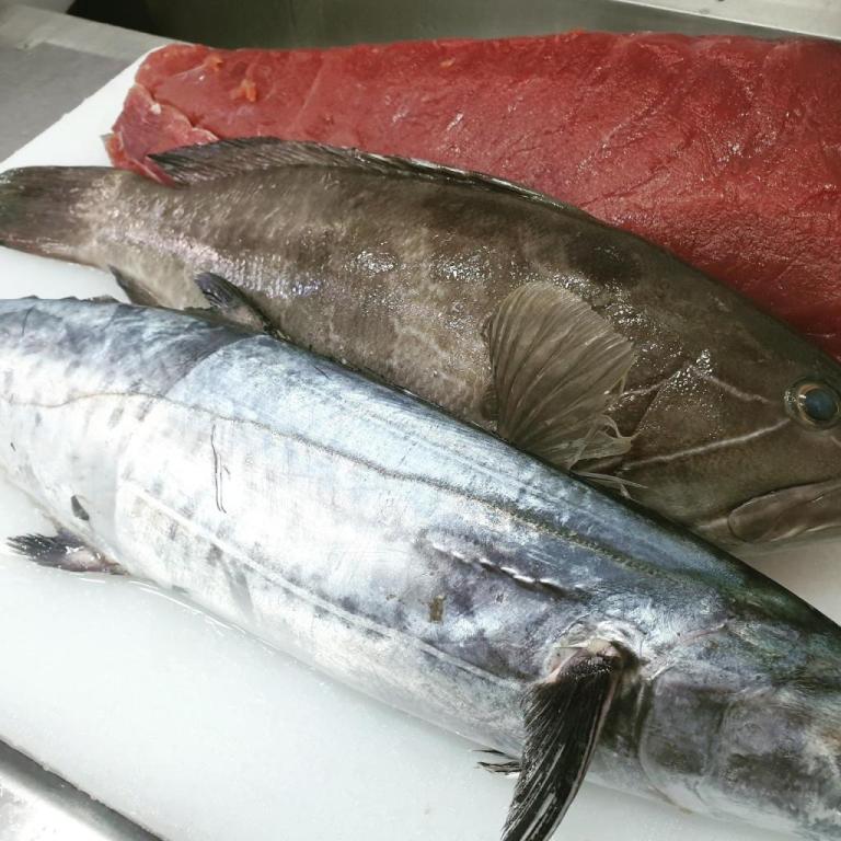 יוסף הדייג יוסף הדייג