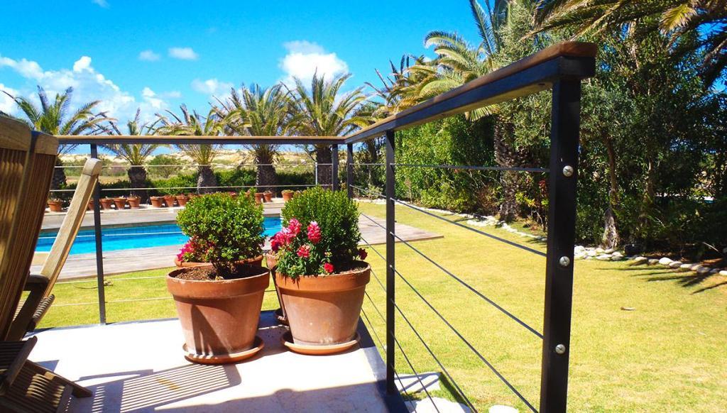 שור אומנות בברזל שור אומנות בברזל