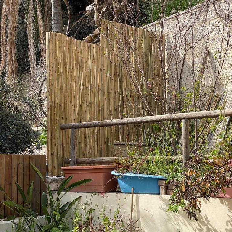 פרויקט Team עבודות עץ פרויקט Team עבודות עץ