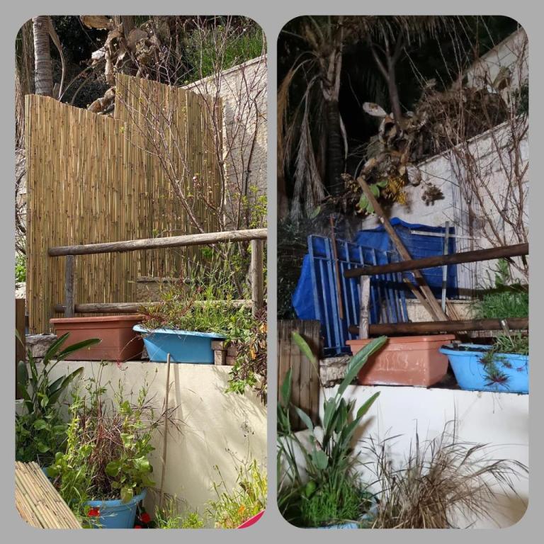 פרויקט Team עבודות עץ פרויקט Team עבודות עץ