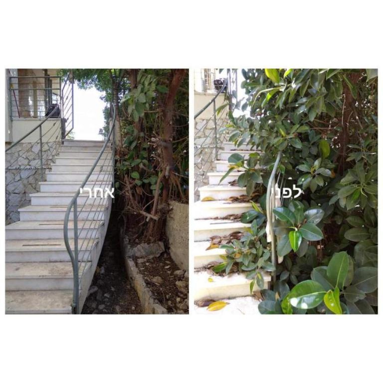 אופק הגינון אופק הגינון