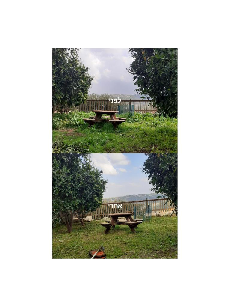 אופק הגינון אופק הגינון