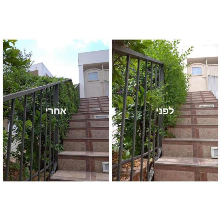 אופק הגינון אופק הגינון