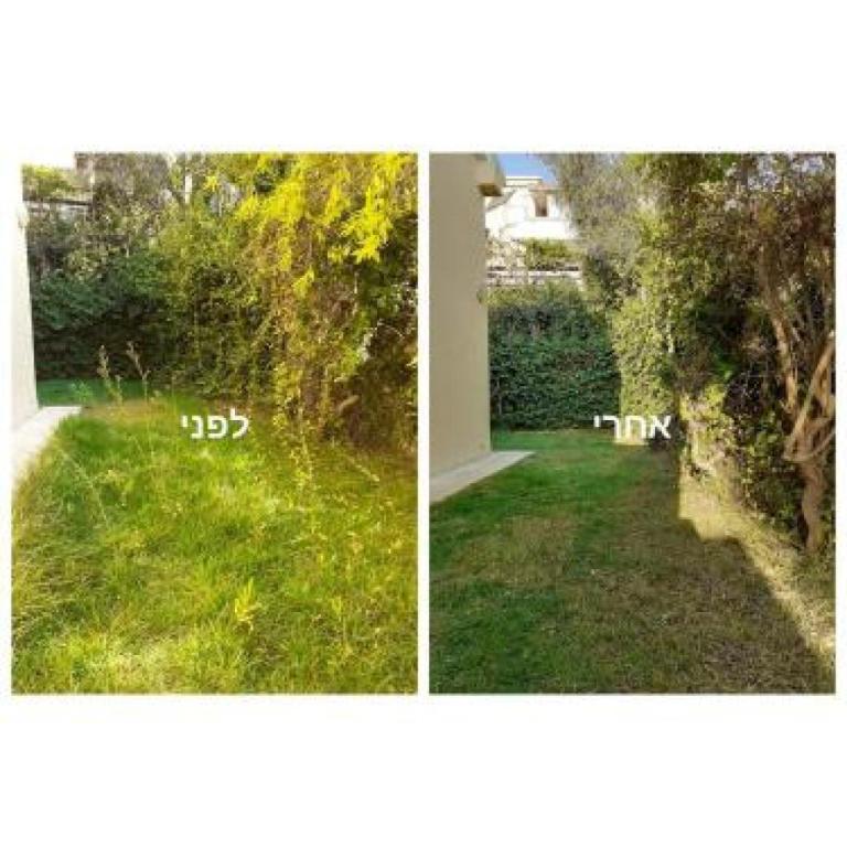 אופק הגינון אופק הגינון