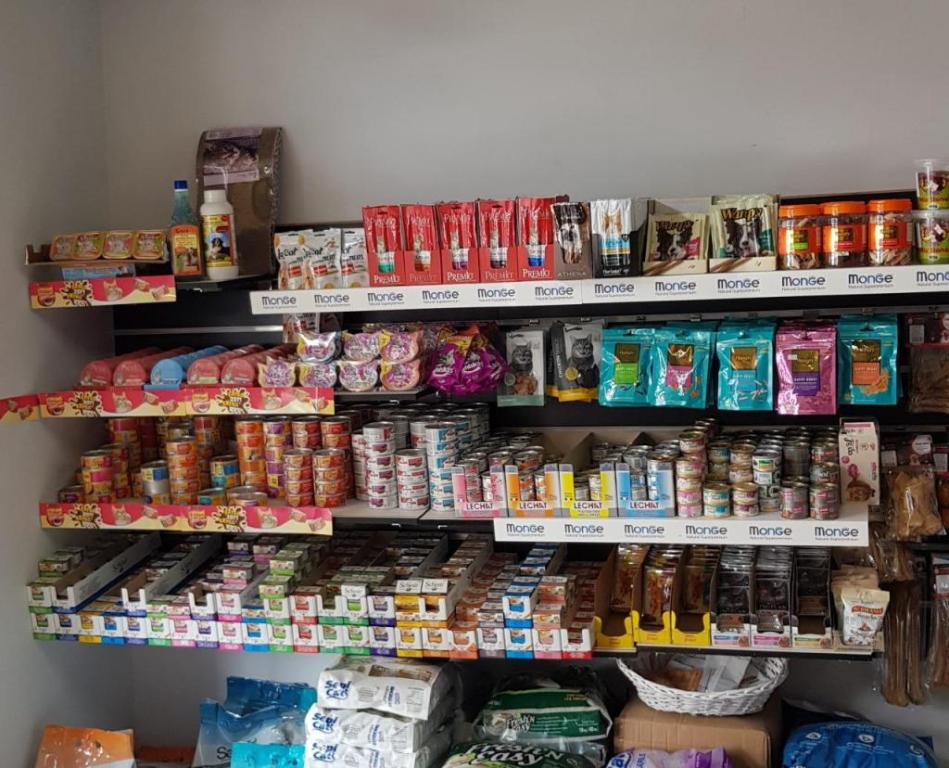 חבר על 4 חבר על 4