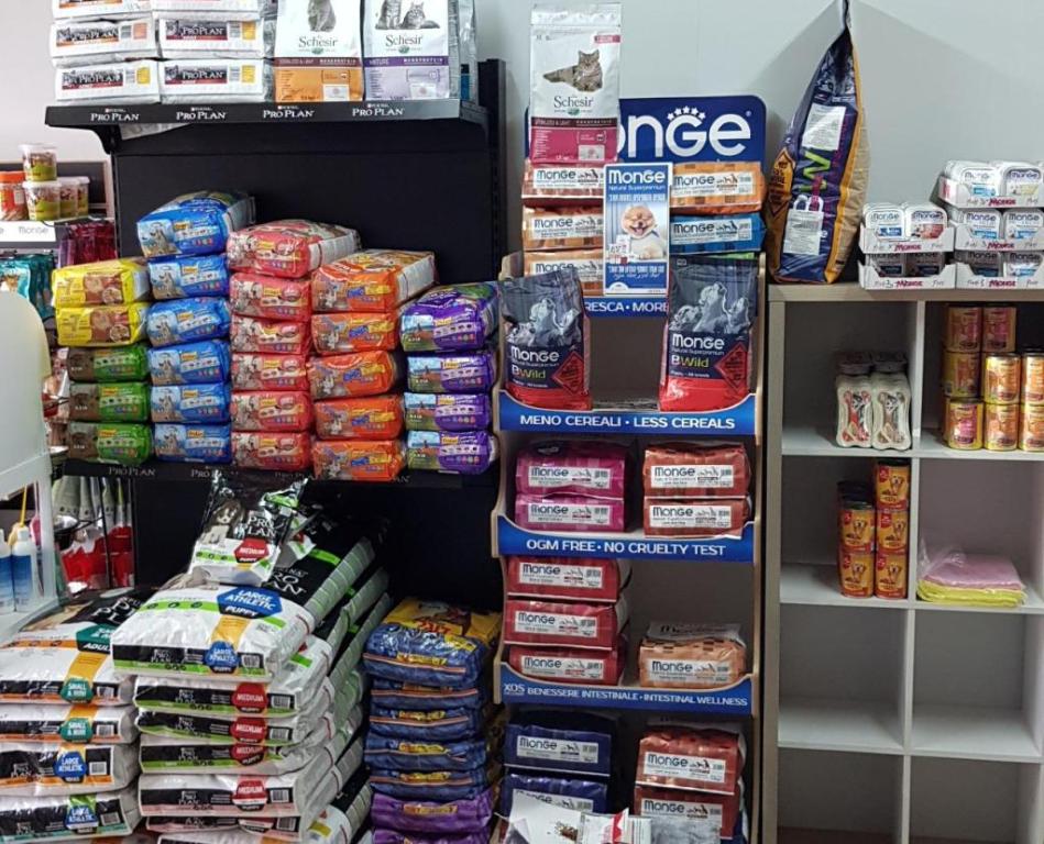 חבר על 4 חבר על 4