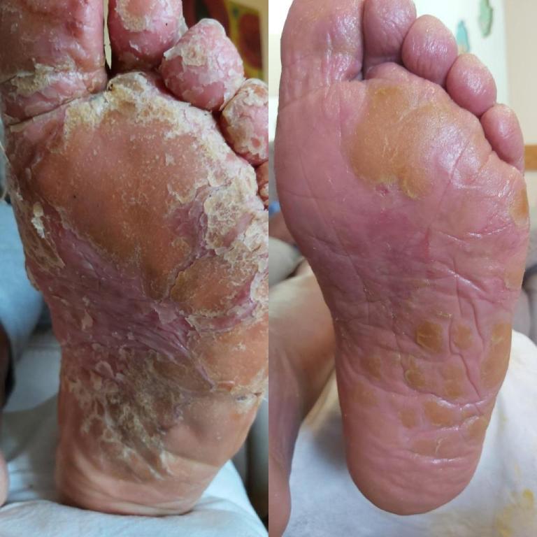 ליאל אריאל ליאל אריאל