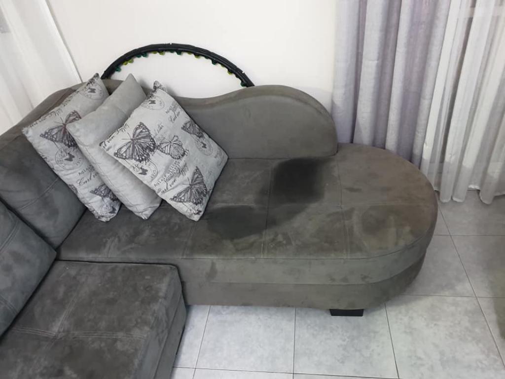 זיו המבריק זיו המבריק