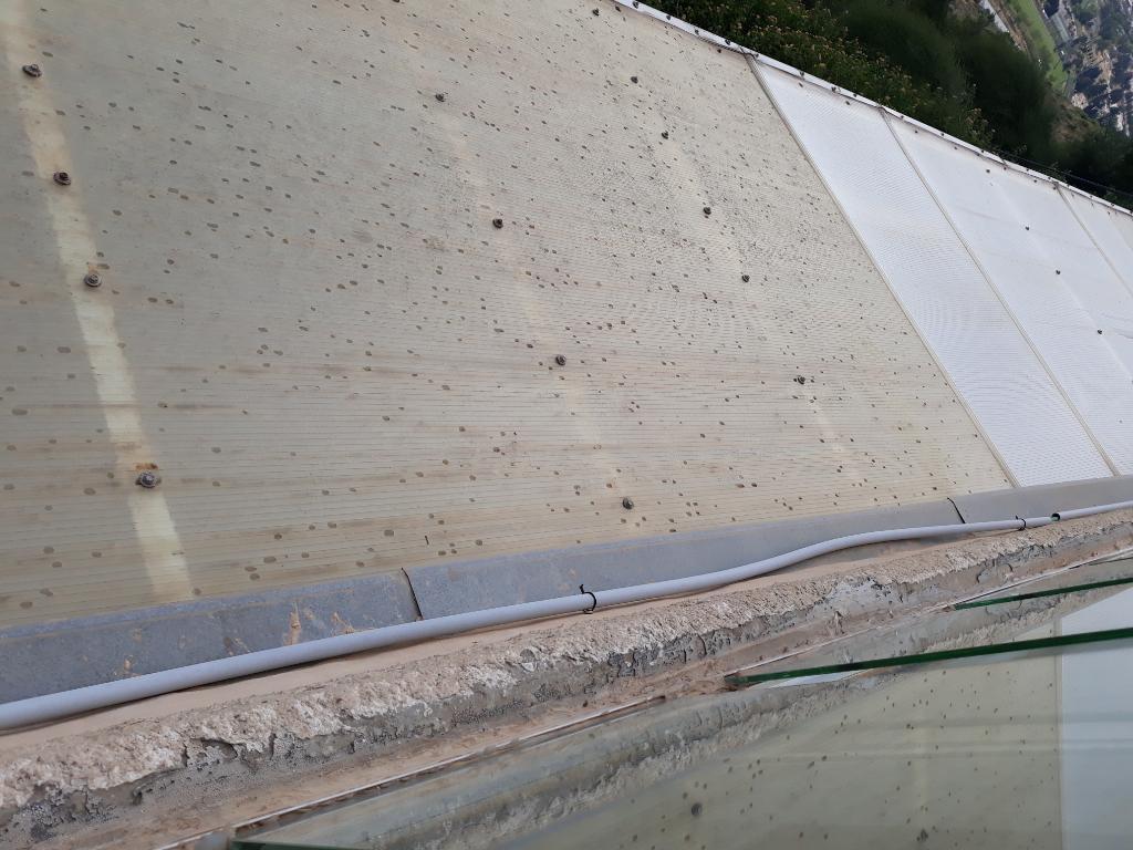 חסן זבידאת חסן זבידאת