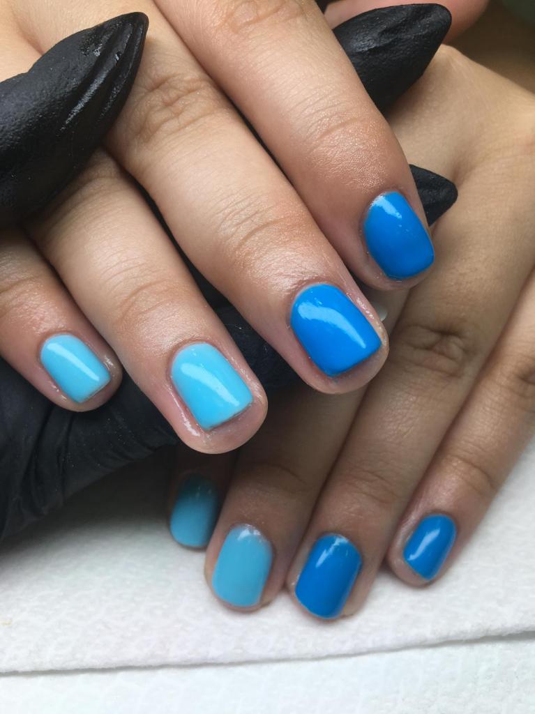 עדי לוי עדי לוי