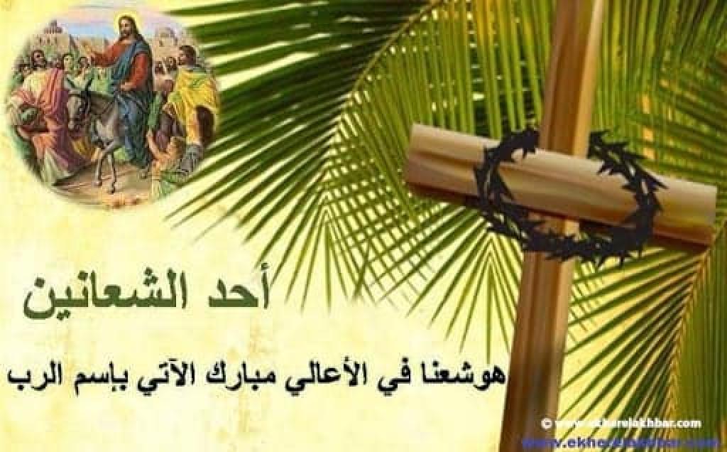 ד"ר לואי סאיג ד"ר לואי סאיג