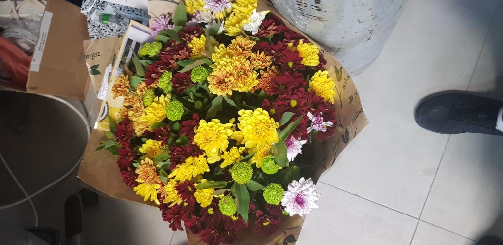 מוקשה muksha מוקשה muksha