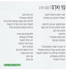 גלית סבג פסיכותרפיסטית