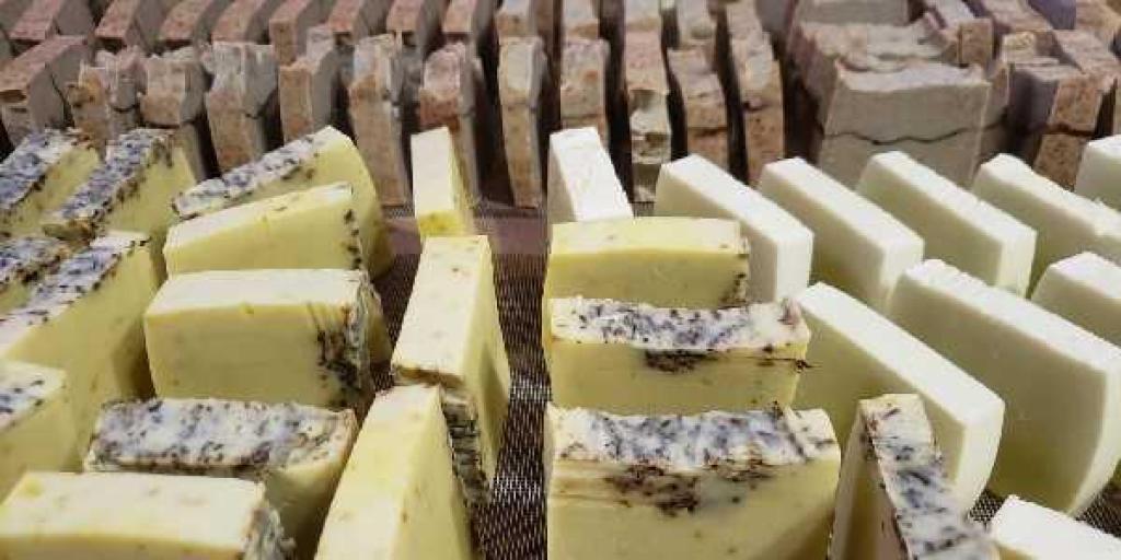 משק קדשאי כרם זיתים משק קדשאי כרם זיתים