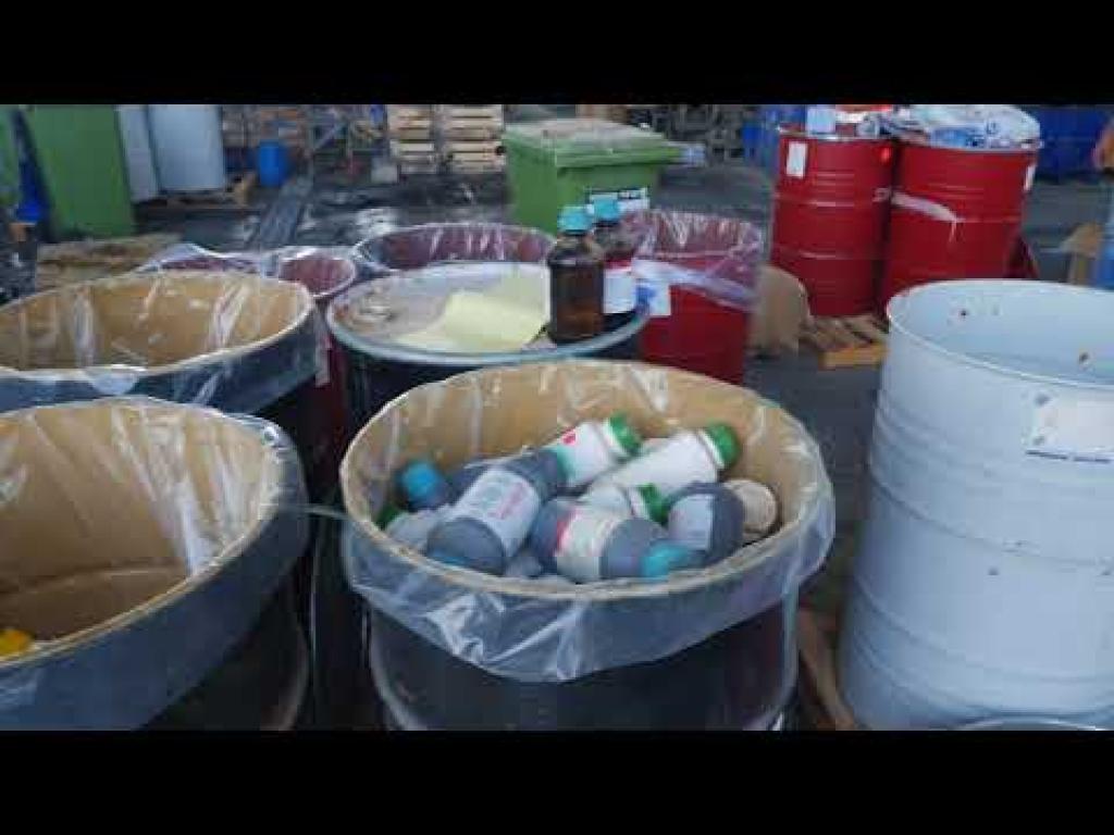 עלה שרותי אקולוגיה עלה שרותי אקולוגיה