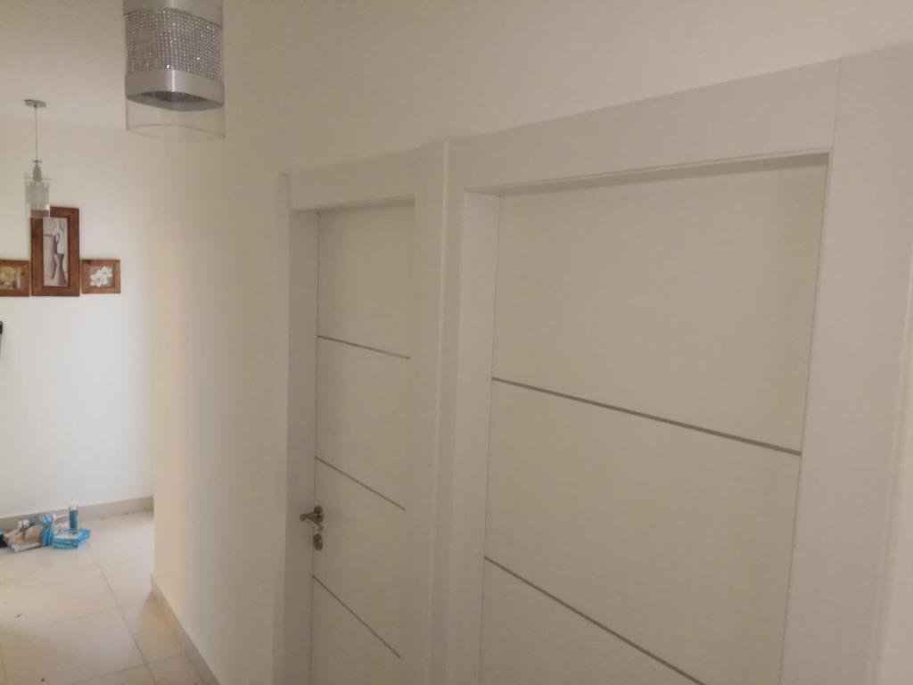 גיא אלמוג גיא אלמוג