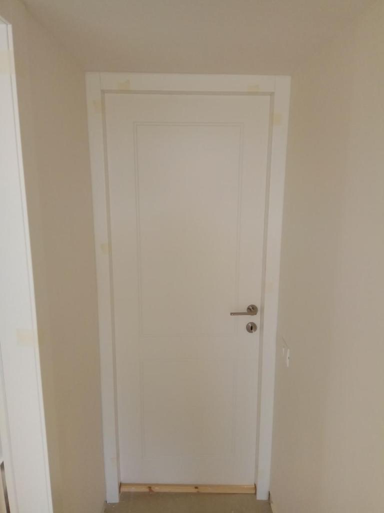 גיא אלמוג גיא אלמוג