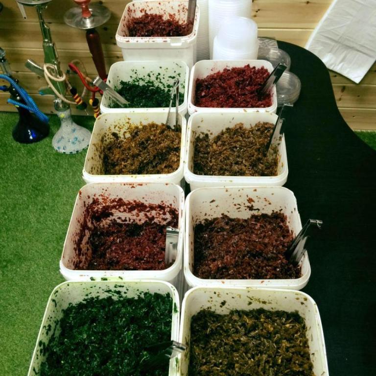 הנרגילה העתיקה הנרגילה העתיקה