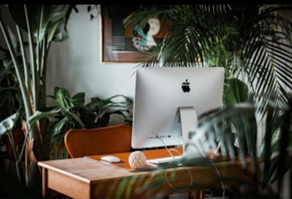 עו"ד סיגל פרץ דיני עבודה עו"ד סיגל פרץ דיני עבודה