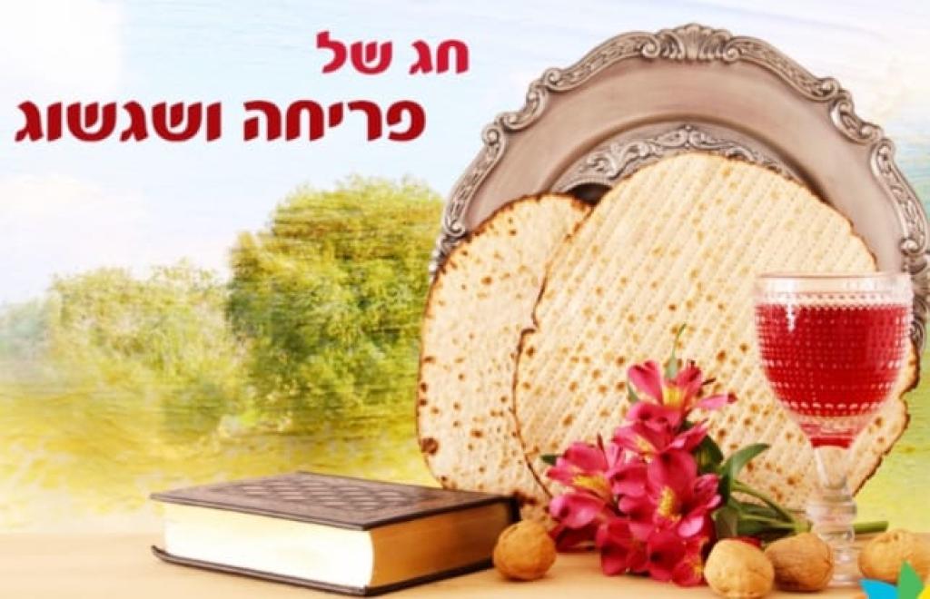 עו"ד סיגל פרץ דיני עבודה עו"ד סיגל פרץ דיני עבודה