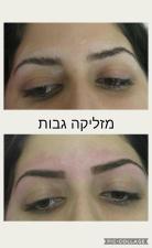 מזליקה גבות