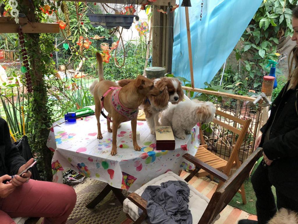 ישפנסיון ישפנסיון