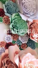 Instaflowers.il