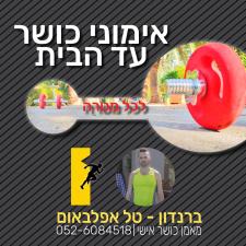 טל אפלבאום