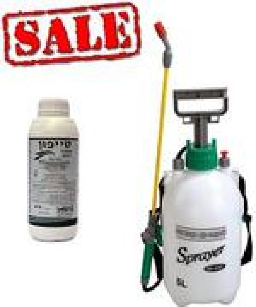 בן הרוש ראובן בן הרוש ראובן