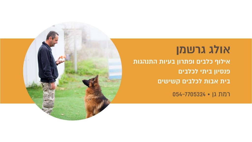אולג גרשמן אילוף כלבים אולג גרשמן אילוף כלבים
