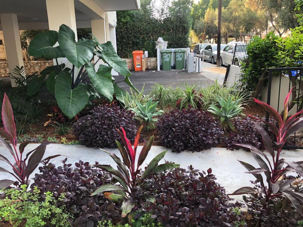 דר צמח גינון ופיתוח דר צמח גינון ופיתוח