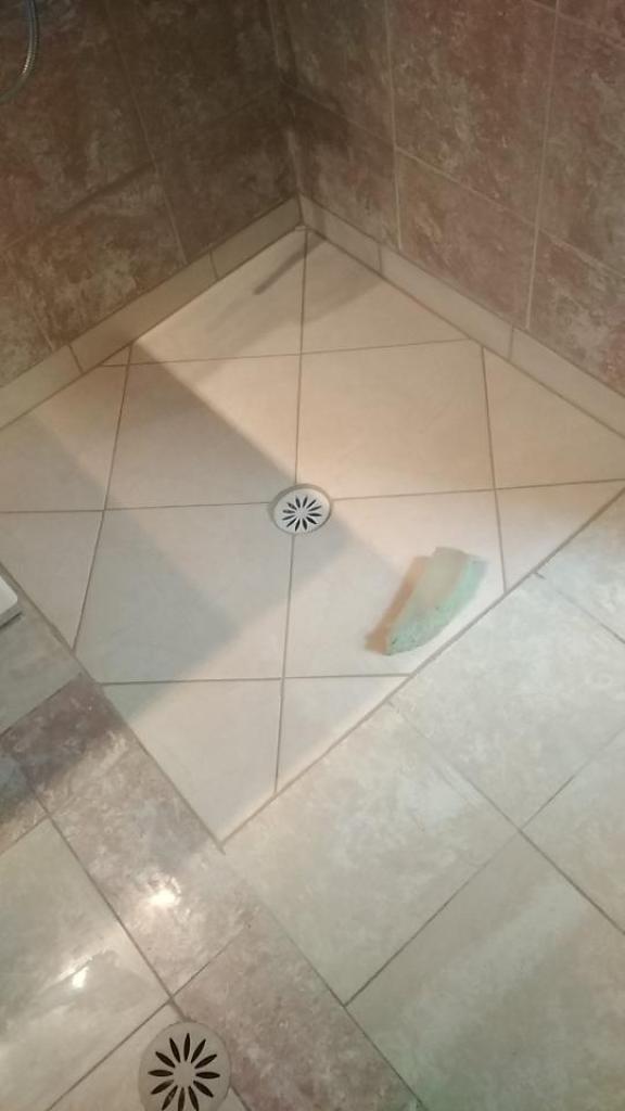 שמעון עבודות גמר שמעון עבודות גמר